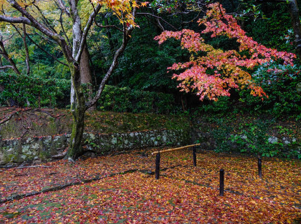 istock Autumn scenery in Kyoto, Japan 1752012477