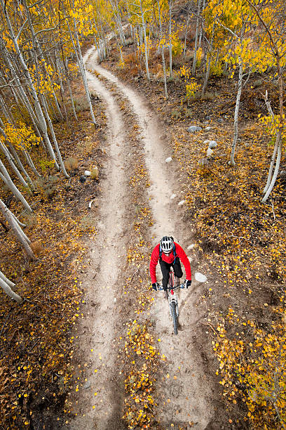 riding a amarillo aspens - usa action adventure aspen tree fotografías e imágenes de stock