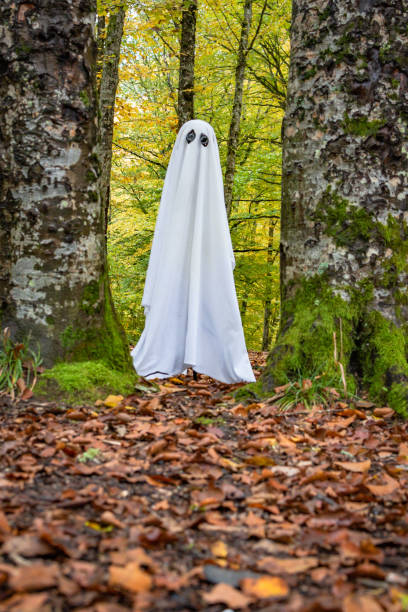 istock Ghost in the autumn mountain forest 1752020024