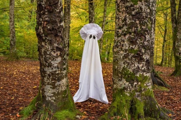 istock Ghost in the autumn mountain forest 1752020035