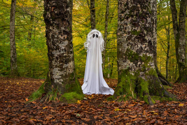 istock Ghost in the autumn mountain forest 1752020568
