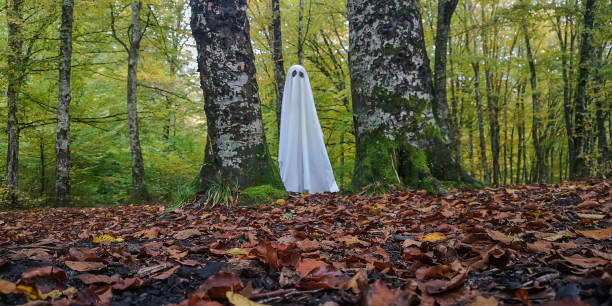 istock Ghost in the autumn mountain forest 1752021139