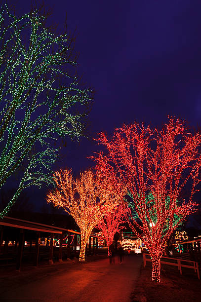istock Christmas Tree Holiday Lights Along Town Street at Night 175202587