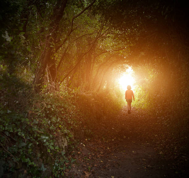 Little girl in magical forest