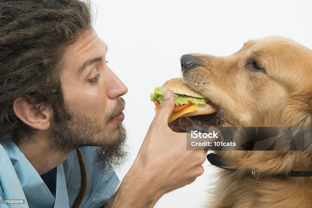 Burger - Lizenzfrei Hund Stock-Foto