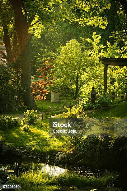Estanque Del Jardín Japonés Foto de stock y más banco de imágenes de Jardín japonés - Jardín japonés, Accesorio de jardín, Agua