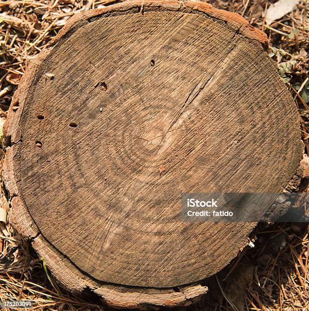 Wood - Fotografie stock e altre immagini di Albero - Albero, Ambientazione esterna, Anello di albero