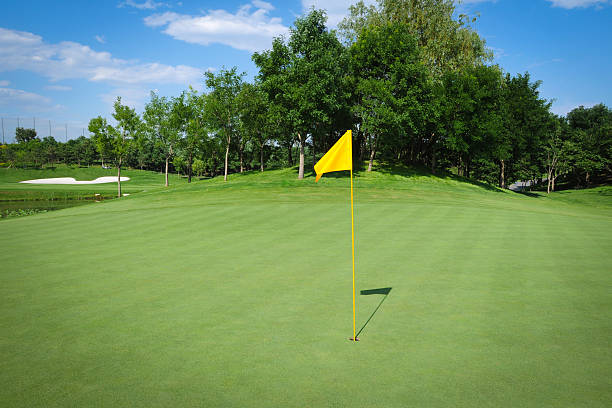 ゴルフコースのグリーン - putting green practicing putting flag ストックフォトと画像