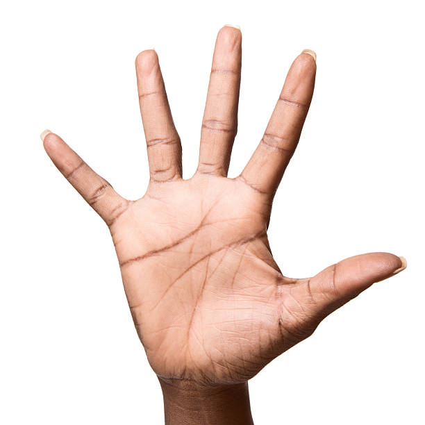 istock Palm of hand on white background (XXXL) 175203227