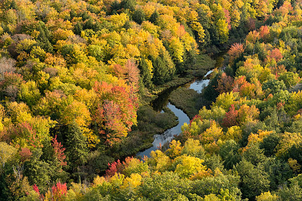 istock River in Porcupine Mtns State park 175203521