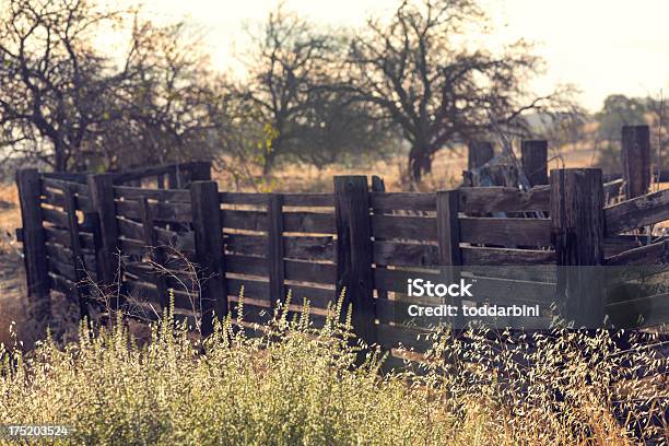 Old Cattle Chute Stock Photo - Download Image Now - California, Ranch, Agriculture