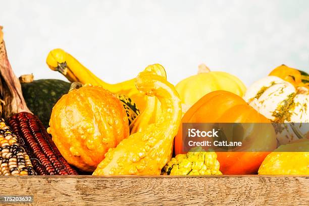 Autunno Ancora Vita - Fotografie stock e altre immagini di Abbondanza - Abbondanza, Alimenti secchi, Arancione