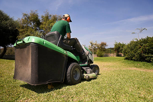 Lawn mower A man drives a  lawn mower. wheel cap stock pictures, royalty-free photos & images