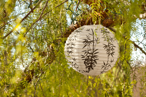outdoor shot of paper lantern