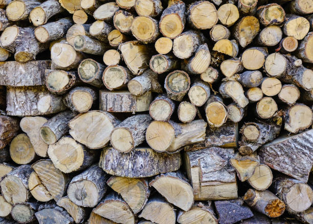 istock Fire wood stock for winter 1752043142