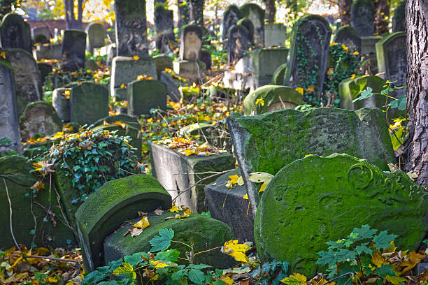 istock Old Jewish Cemetery 175204387