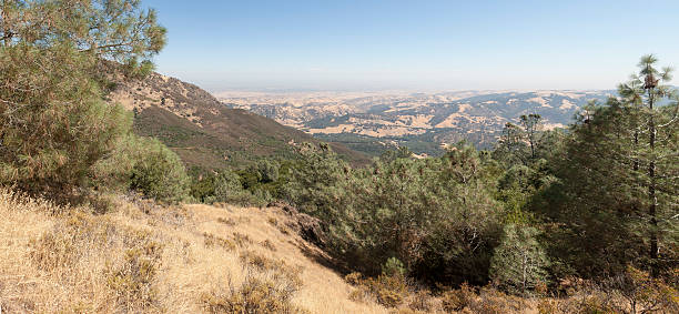 mount diablo panorama - mt diablo state park fotografías e imágenes de stock