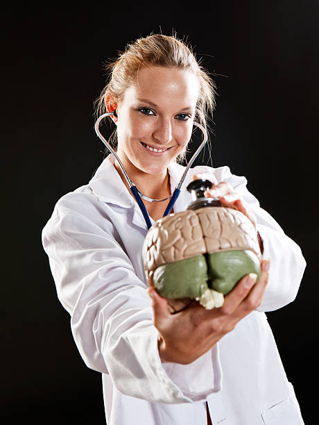 linda profissional médico estetoscópio no modelo de cérebro usa - re2012005 vertical looking at camera waist up - fotografias e filmes do acervo