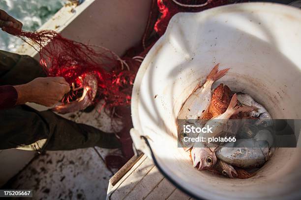 Fishermen At Work Cleaning The Nets Stock Photo - Download Image Now - Adult, Bucket, Commercial Fishing Net