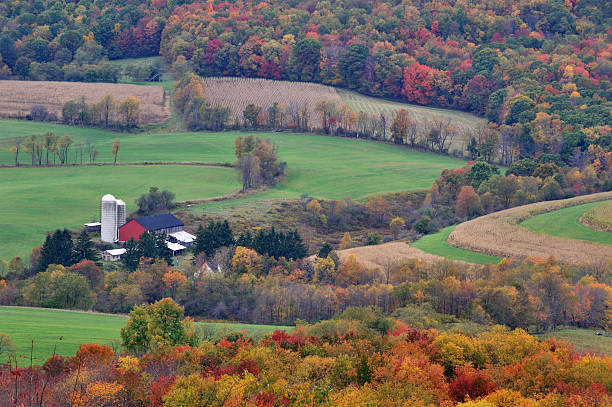 istock Farmland in Maryland 175206375