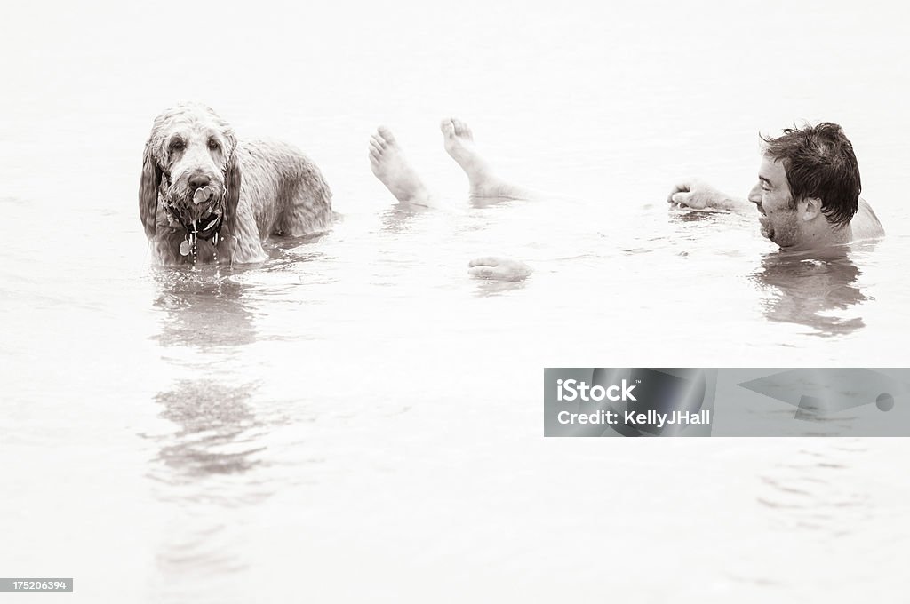 Homem e Golden-doodle cachorro jogando na água - Foto de stock de Adulto royalty-free