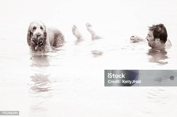 Foto de Homem E Goldendoodle Cachorro Jogando Na Água e mais fotos de stock de Adulto - Adulto, Alagado - Molhado, Amizade