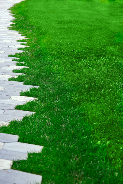 istock pavement with stone tiles decorative pattern and trimmed green lawn on summer park, vertical image, nobody. 1752065584