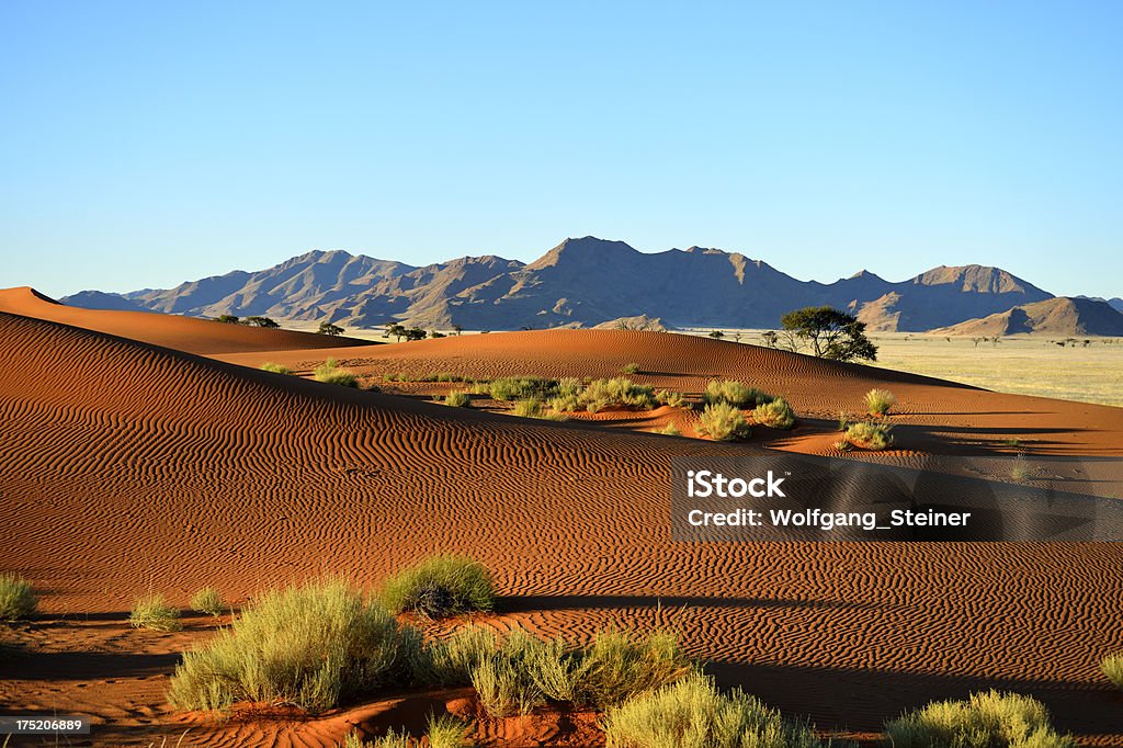 Dunes senza alcun ingombro - Foto stock royalty-free di Africa