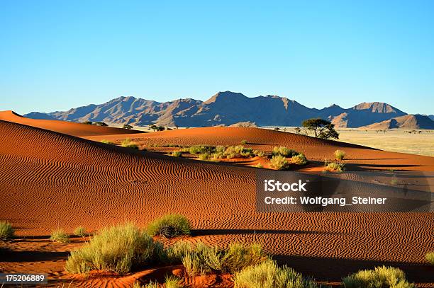 Dunes Senza Alcun Ingombro - Fotografie stock e altre immagini di Africa - Africa, Albero, Ambientazione esterna