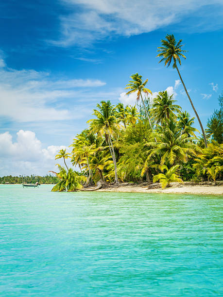 bora-bora ilha férias de verão do pacífico sul - south pacific ocean island polynesia tropical climate imagens e fotografias de stock