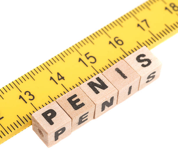 istock measurement of penis 175208294