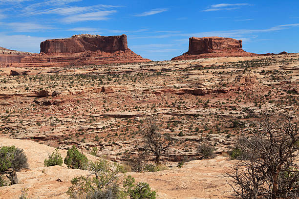 istock Canyonlands National Park 175208307
