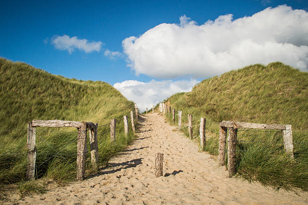 plaża sandy ścieżki - beach boardwalk grass marram grass zdjęcia i obrazy z banku zdjęć