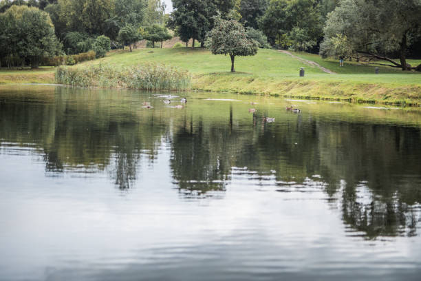 istock A quiet, secluded place in a green park near a pond 1752087041