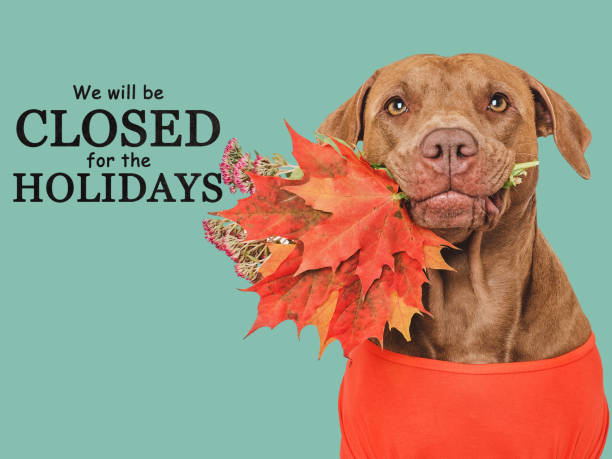 istock Signboard with the inscription We will be closed on Thanksgiving 1752087346