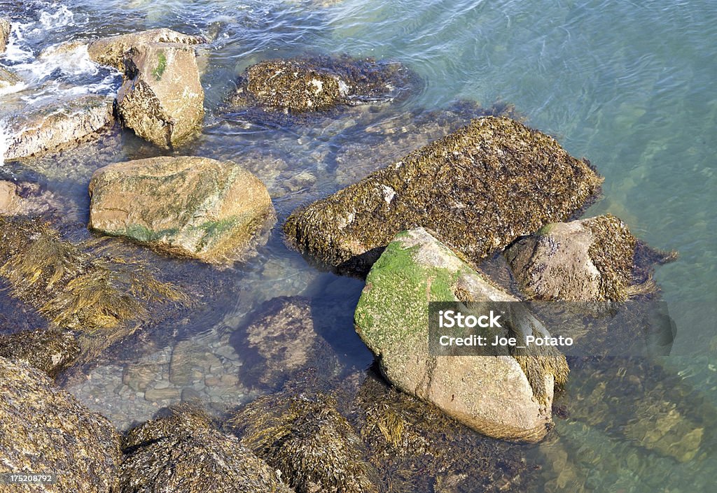 Coastal Rocks - Lizenzfrei Bay Of Fundy Stock-Foto