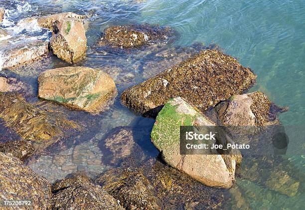 Costa De Rocks Foto de stock y más banco de imágenes de Aire libre - Aire libre, Alga Marina, Bahía