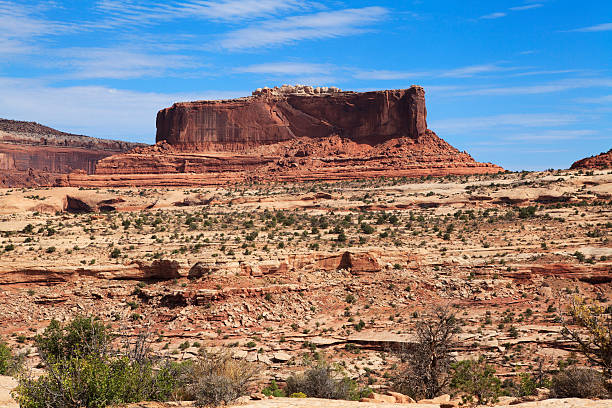 istock Canyonlands National Park 175209183