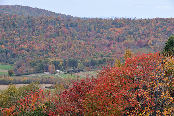 istock Maryland in Fall Colors 175209386