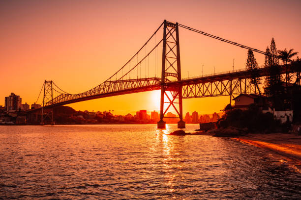 Modern city bridge across the river, Changsha, Hunan