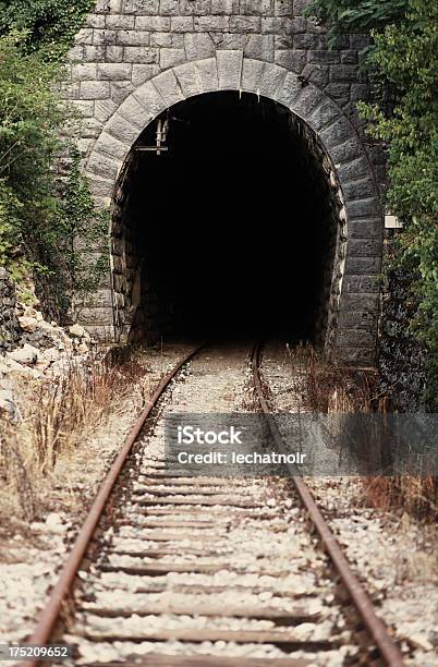 Ingrese El Desconocida Foto de stock y más banco de imágenes de Tren - Tren, Túnel, Bosque