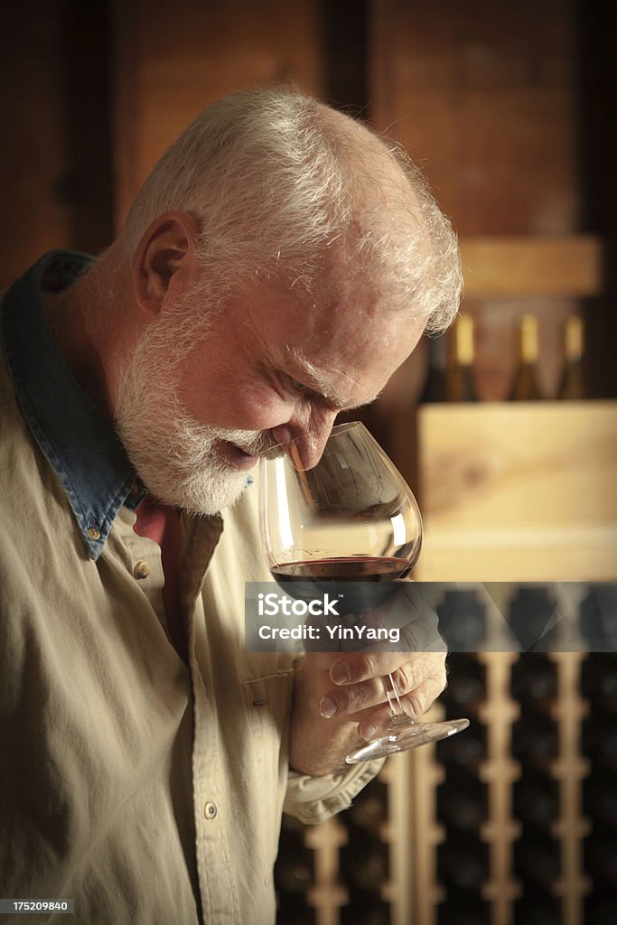 Prova avaliar o buquê de vinhos na adega, Vt - Foto de stock de Vinho royalty-free