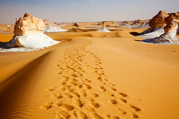 kalkstein in der wüste - white desert stock-fotos und bilder
