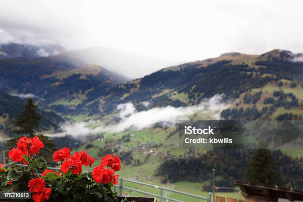 Foto de Gerânio Flores A Desabrochar Antes Dos Alpes Suíços Paisagem e mais fotos de stock de Alpes europeus