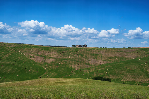 Ripening wheat field landscape near Mjosa lake during summer, Hedmark, Norway