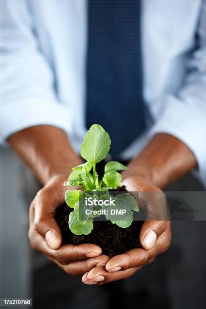 Desarrollo De Negocios De Manos Sosteniendo Plántula Foto de stock y más banco de imágenes de Afrodescendiente