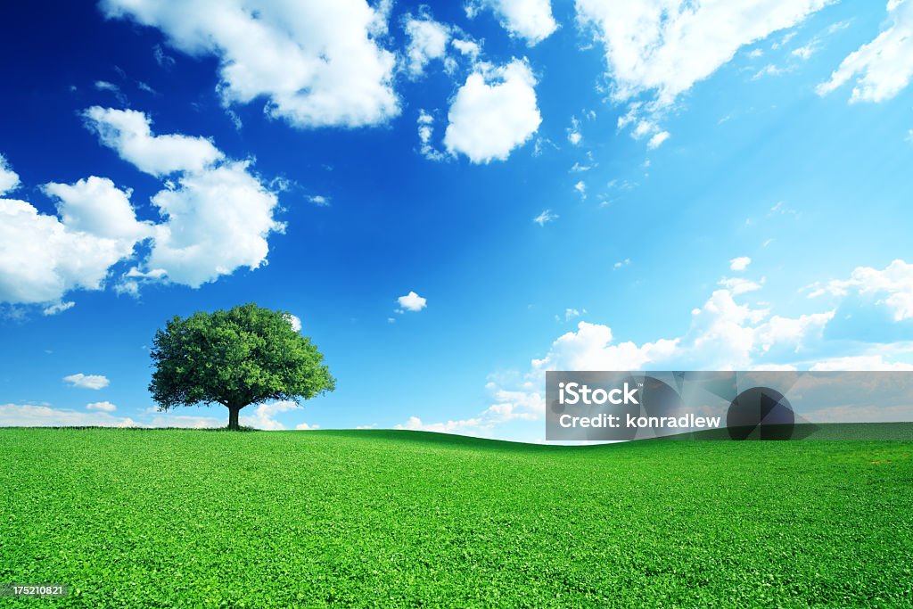Espectacular cielo azul y Meadow - 21Mpix - Foto de stock de Azul libre de derechos