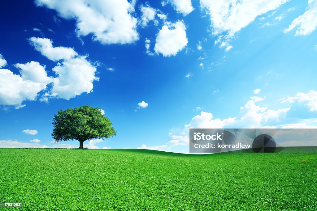 Dramatique ciel bleu et Meadow - 21Mpix - Photo de Arbre libre de droits