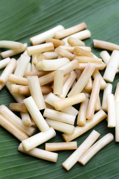 istock Fresh lotus rootlet on banana leaf 1752109126
