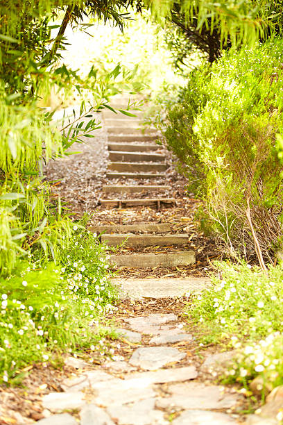 Stone stair path through a garden. Vertical composition.